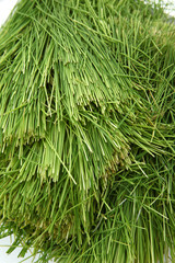 Pile of Wheatgrass