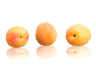 Apricots