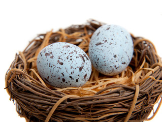 Naklejka na ściany i meble Dwie niebieskie jaja Robins w gniazdo dekorowanie
