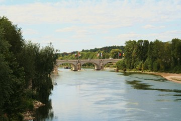 Fototapeta premium Pont Wilson à Tours - France