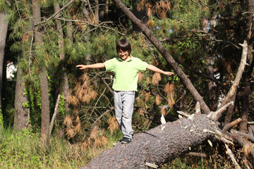 équilibre sur un tronc d'arbre