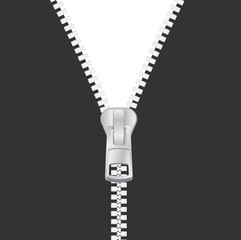 silver zipper opening black white vector image