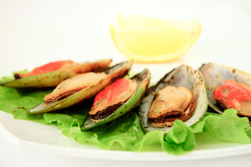 Mussels (close-up)