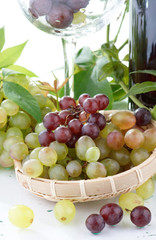 wine bottle and young grape