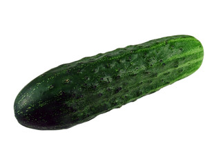 Cucumber