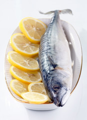 mackerel with lemon