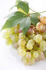 bunch of fresh grapes