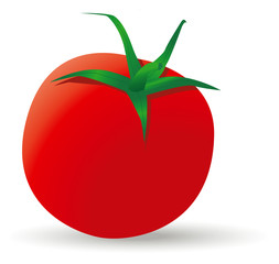 tomate
