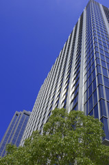 Obraz premium 高層ビル