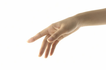 女性の手女性の手