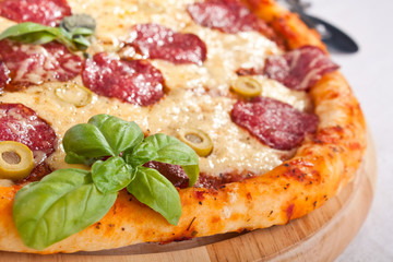 salami pizza close-up