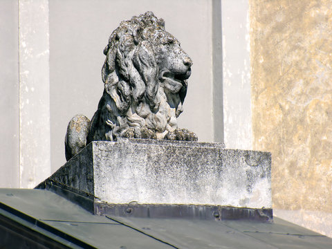 LEONE