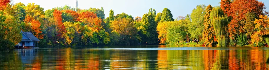 Türaufkleber Herbstlandschaft © Ovidiu Iordachi