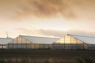 Obraz premium greenhouse sunrise