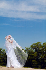 Fototapeta na wymiar bride and veil