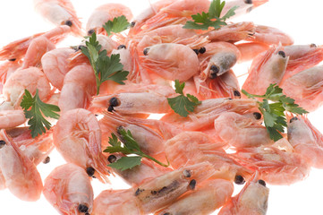 shrimp on white background