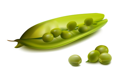 Vector. Peas.