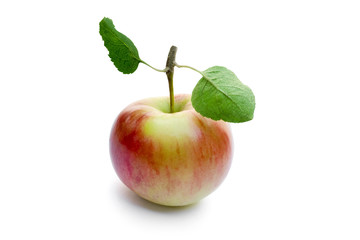 apple