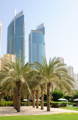 Fototapeta na wymiar Palm Lane w centrum miasta Dubaj, ZEA