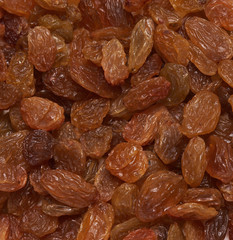 raisin background