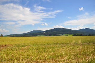 Fototapeta premium nature