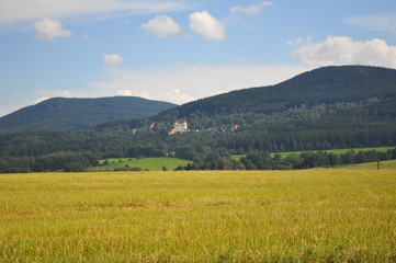 Fototapeta premium nature