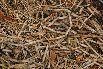 straws