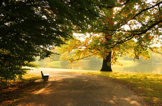 Bank im Park