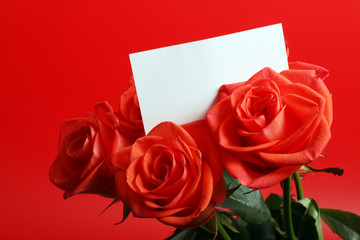 Fototapeta na wymiar red roses with card