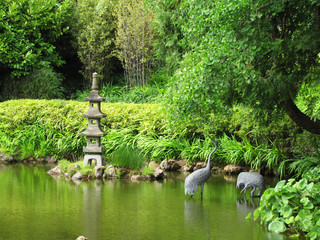 japanese garden in the middle of San Francisco