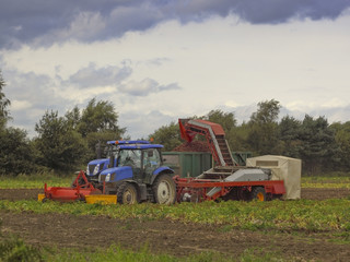 potato harvester