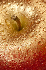 gold gilded apple for christmas with water droplet, macro shot