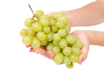 The female hand holds one grapes