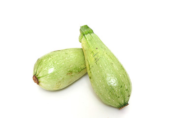 SUMMER SQUASH