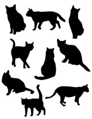silhouettes of cats