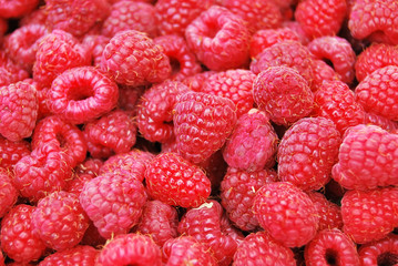 background of raspberries
