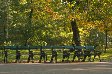 A quiet place