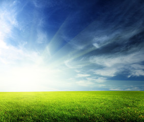 Obraz na płótnie Canvas field of spring grass and sunset