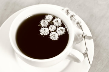 Cup of tea with flower of peppermint floating in it
