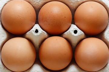 Eggs