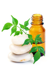 aromatherapy oil