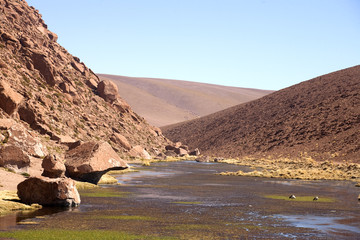 Desert de l'atacama