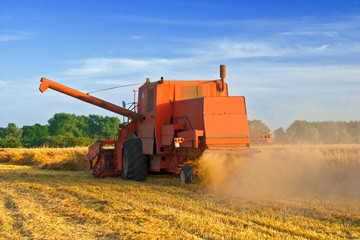 Old combine harvester during a crop cutting; late afternoon