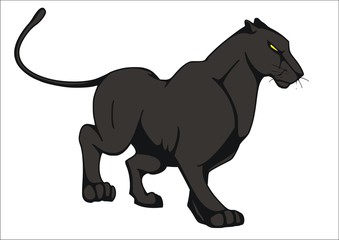 Schwarzer Panther