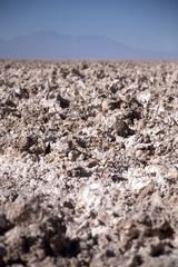 Laguna de Chaxa, Atacama - Chile