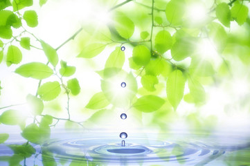 Naklejka na ściany i meble Kropla wody i zieleni świeżej