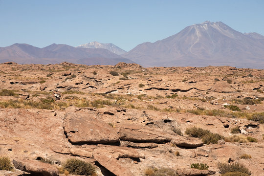 Lagunas Miscanti and Meniques in Atacama desert near Andes.