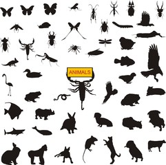 Siluetas 0061 © Parato