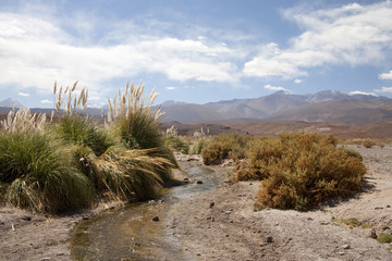 Atacama desert, Chile