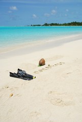 Fototapeta na wymiar Maldives concept with coconut fruit and snorkelling equipment